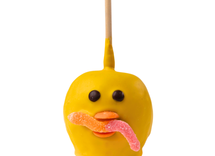 Baby Chick Apple-Seasonal!